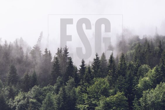 Guide pratique : Vos emballages sont-ils éthiques?